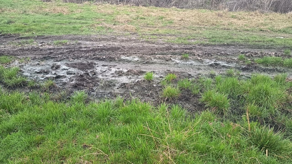 Забруднена стічними водами земельна ділянка