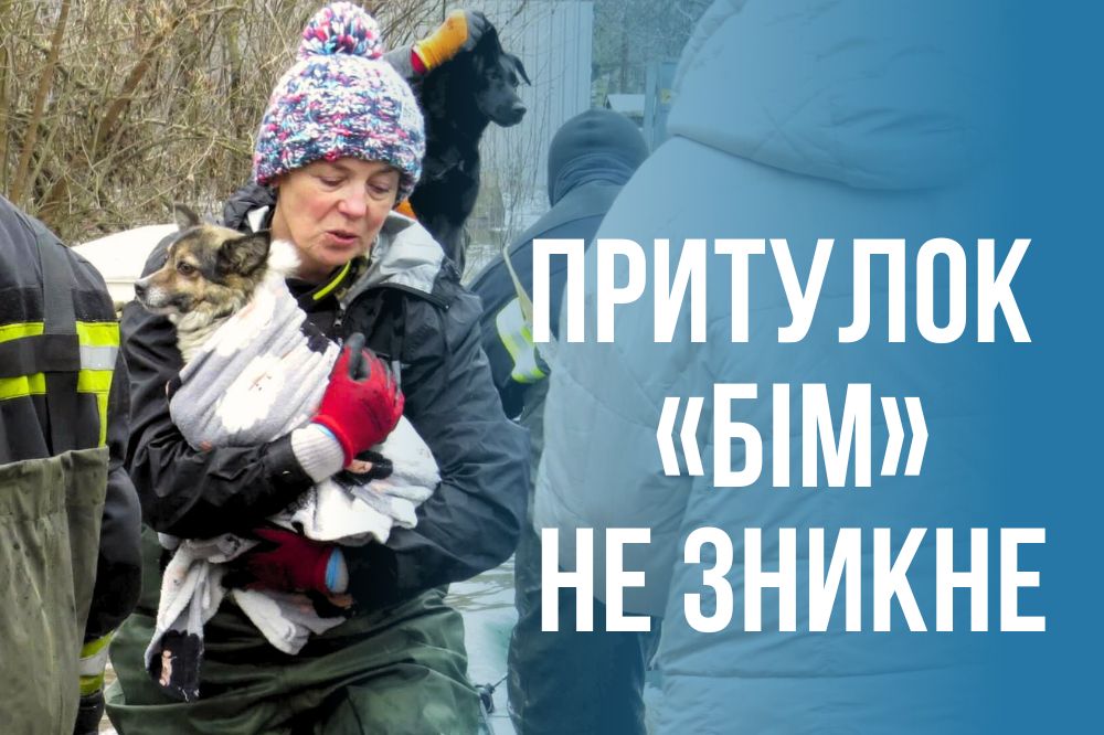 Жінка рятує собаку з притулку  для тварин «БІМ» під час підтоплення у лютому 2026