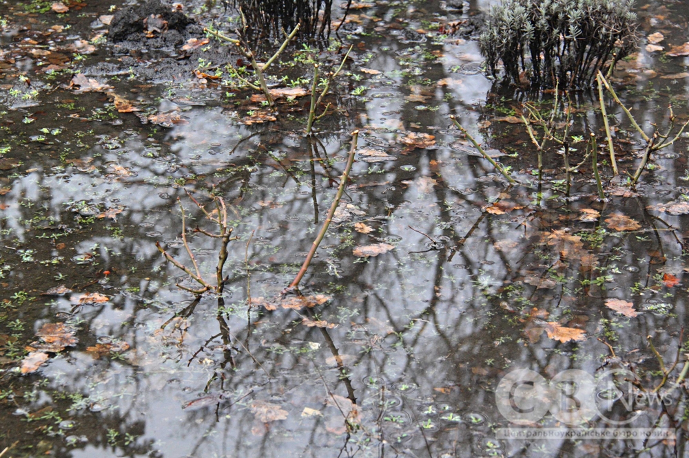 Фото відлиги у Кропивницькому, відображення хмарного неба у калюжі