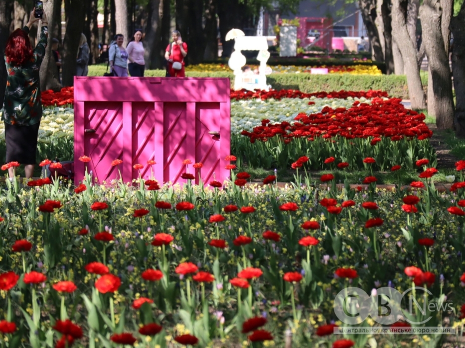 Дендропарк у Кропивницькому