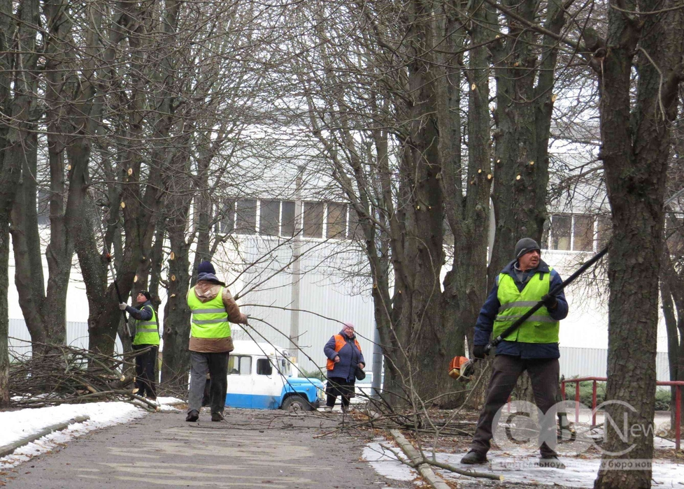 Комунальники обрізають дерева на бульварі Студентському