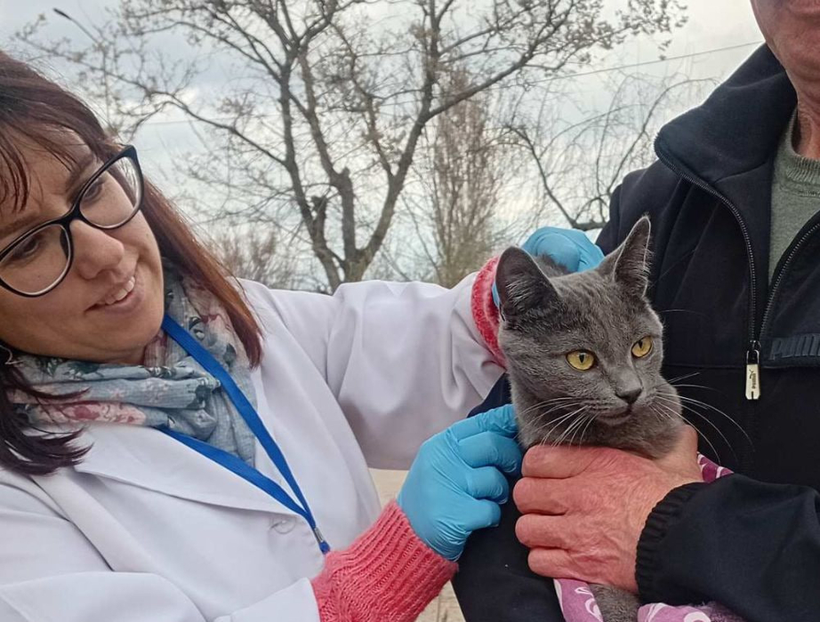 Фахівчиня Держпродспоживслужби вакцинує кота