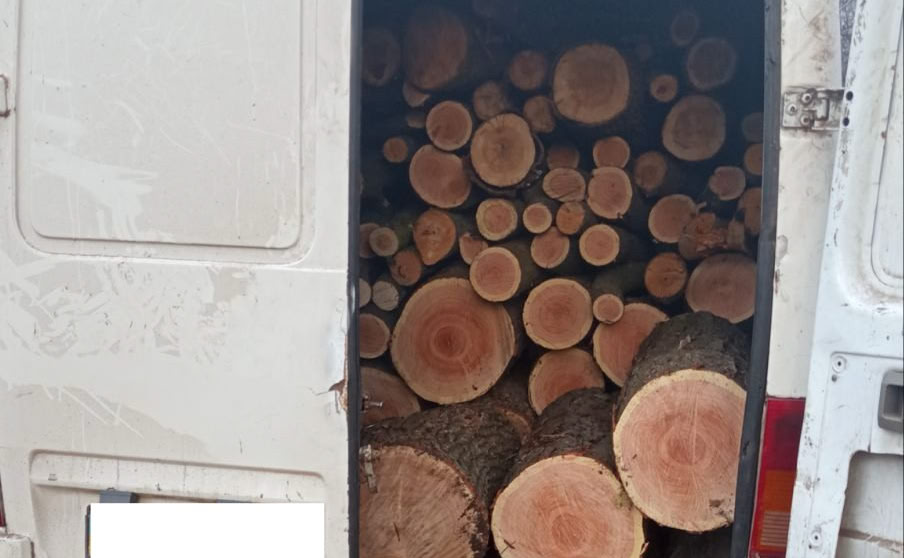 Автомобіль з вирубаною деревиною