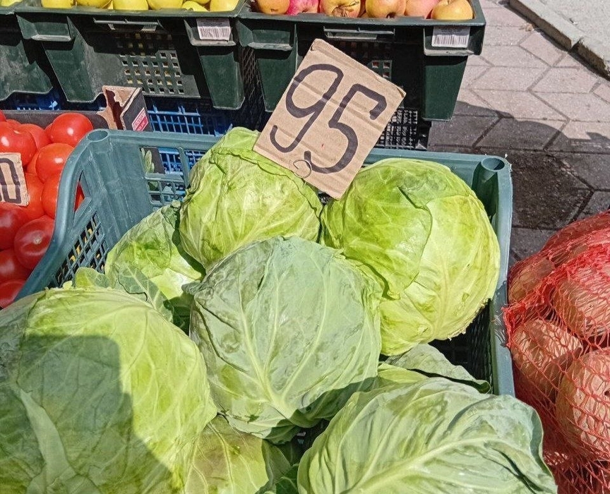 фото огірок і помідора