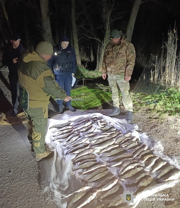 фото риби на землі