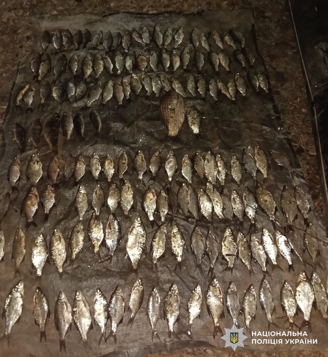 затримання