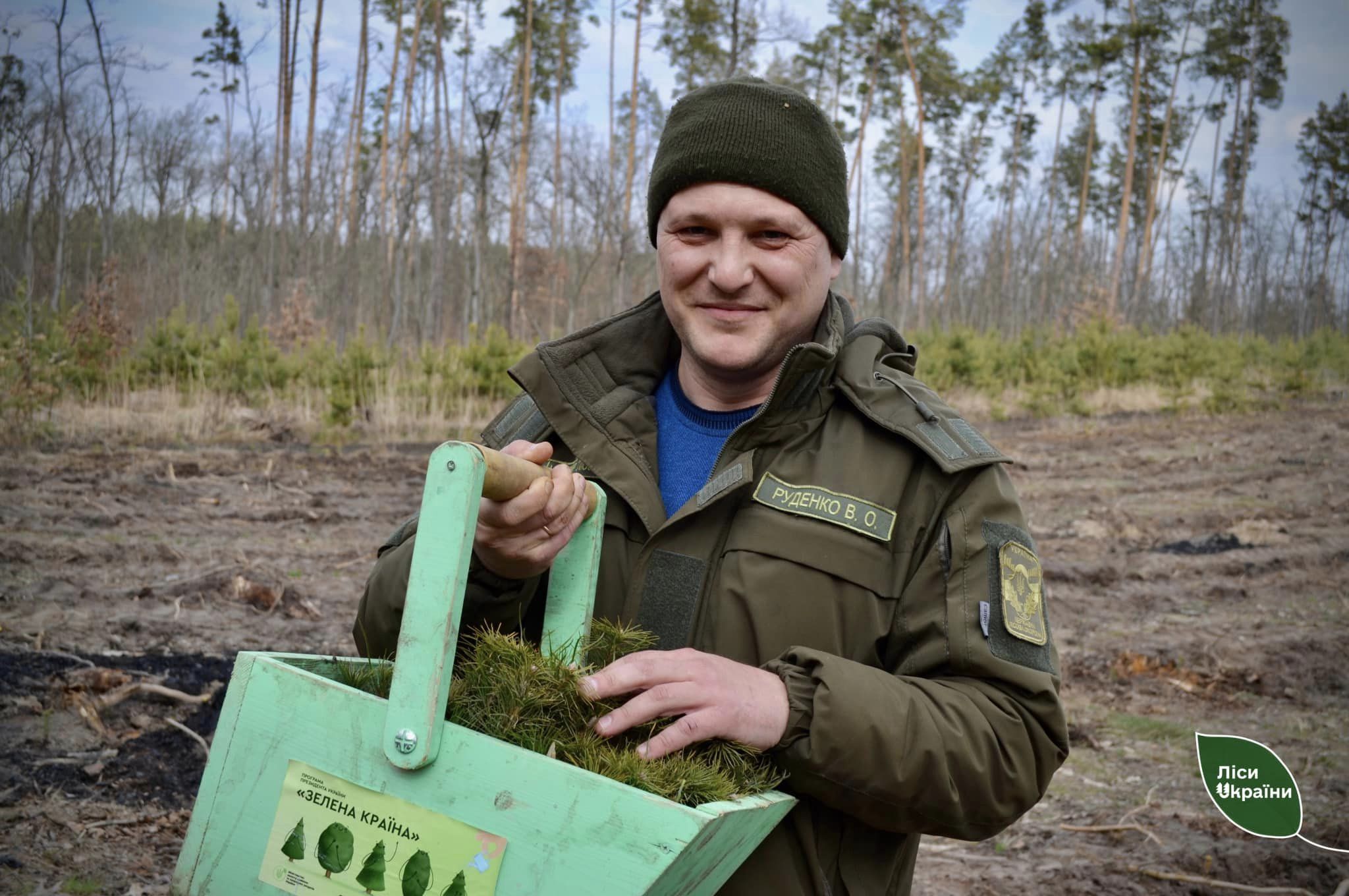 На Кіровоградщині висадили майже мільйон сіянців дерев