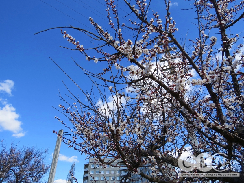 IMG_0286_04_03_2024