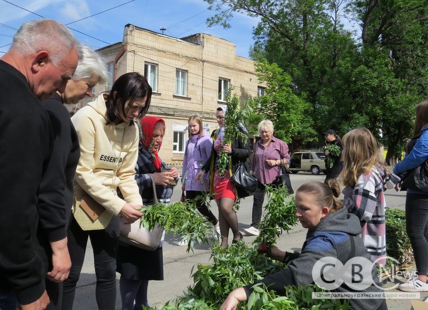 Вербна неділя 2024 у Кропивницькому
