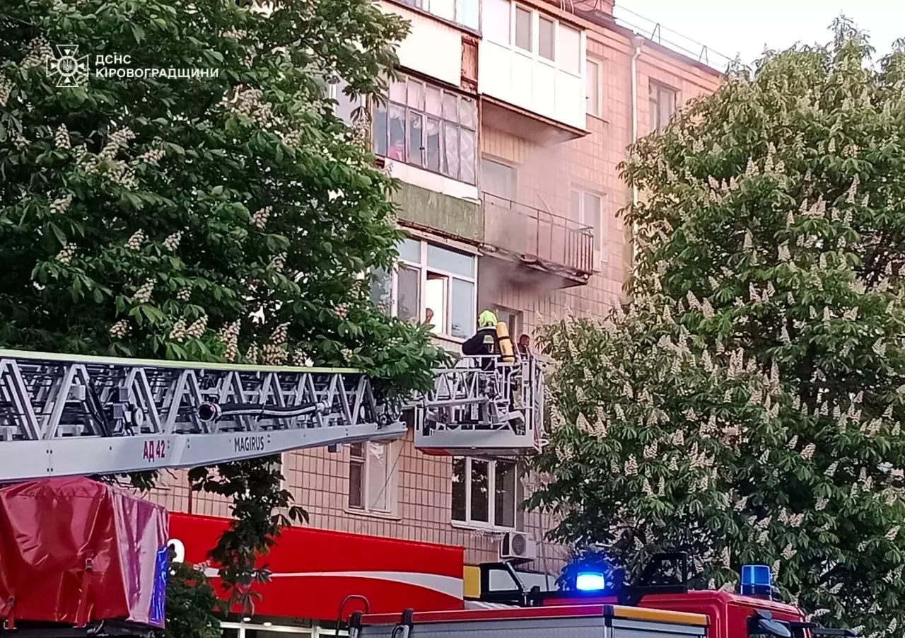 На пожежі в Олександрії врятували двох чоловіків