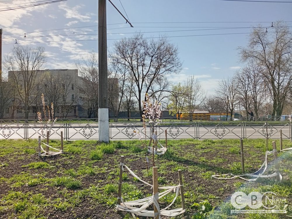 _памяті_Кропивницький_10