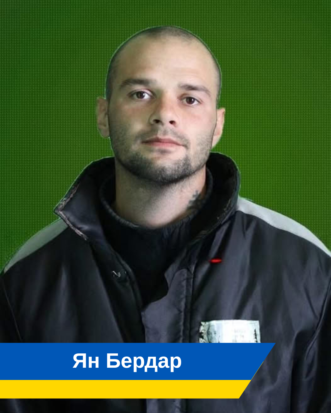 Ян Бердар