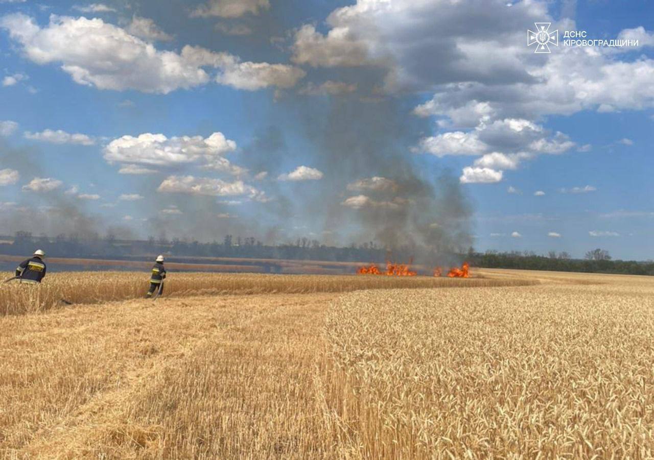 На полі неподалік Кропивницького вигоріло півтора гектара пшениці.