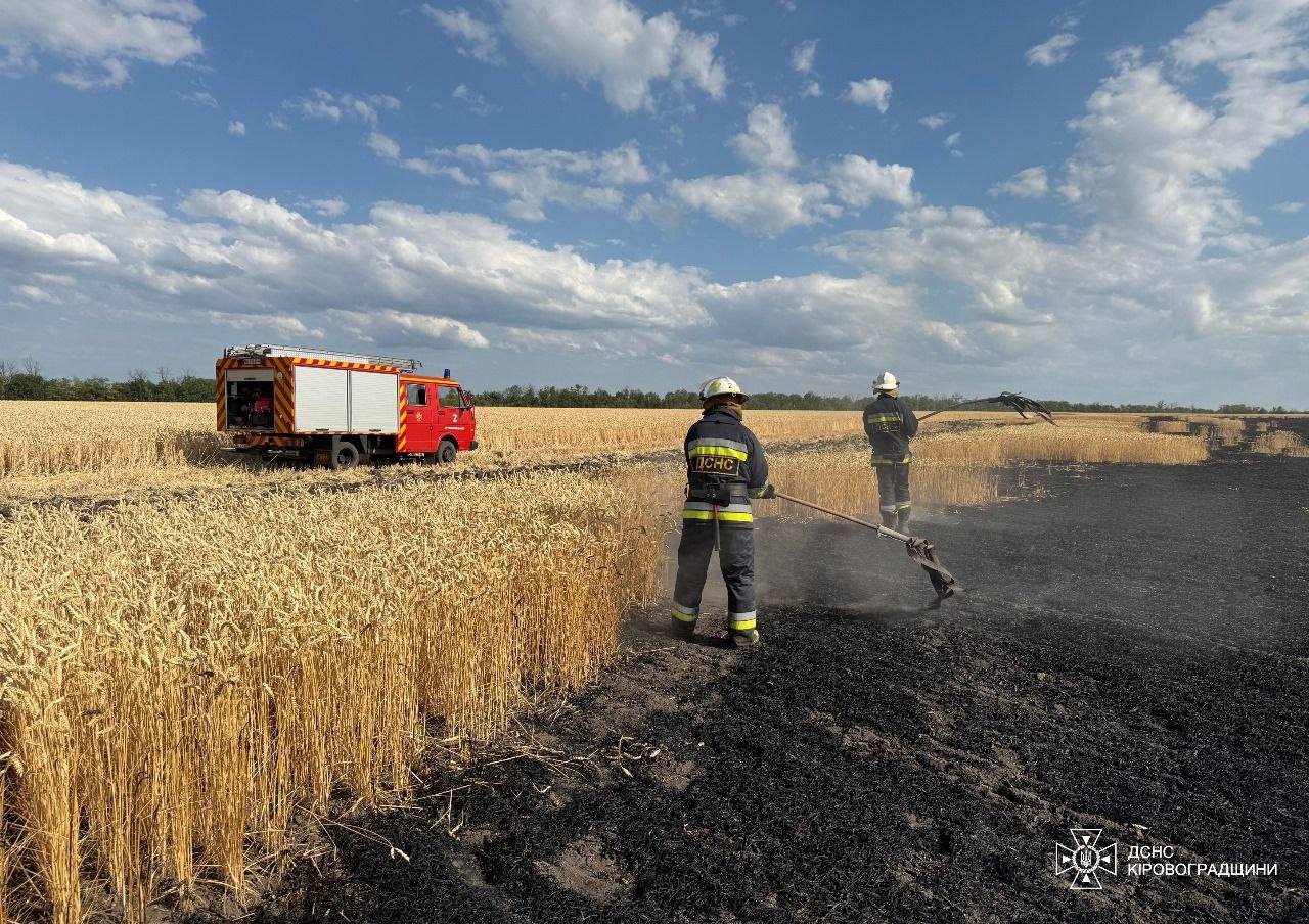 На полі неподалік Кропивницького вигоріло півтора гектара пшениці.