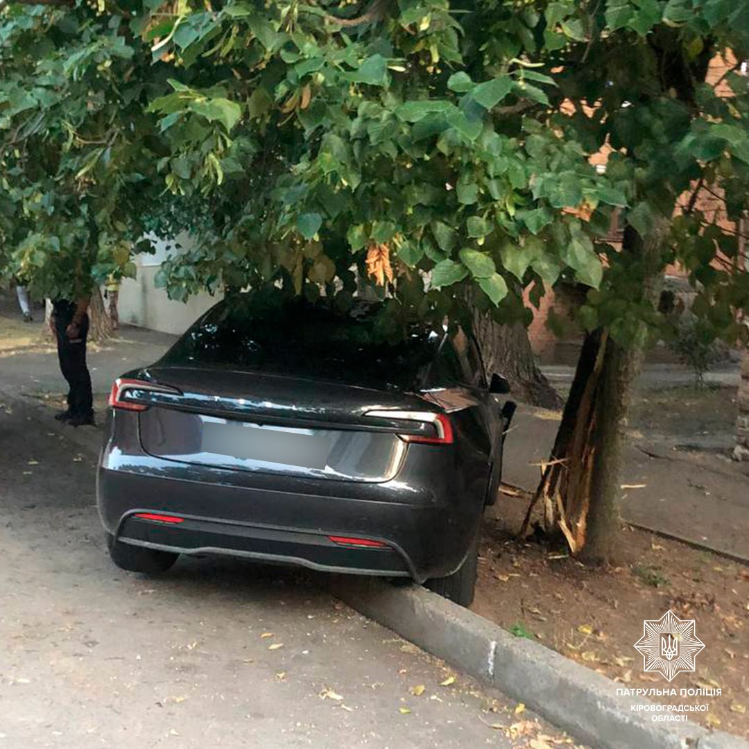 Водій легковика врізався в дерево та стовп на вулиці Степана Бандери у Кропивницькому.