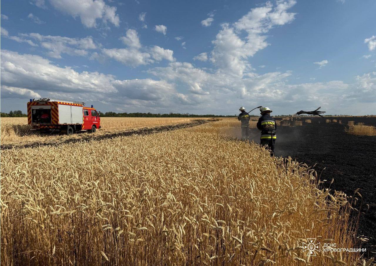 На полі неподалік Кропивницького вигоріло півтора гектара пшениці.