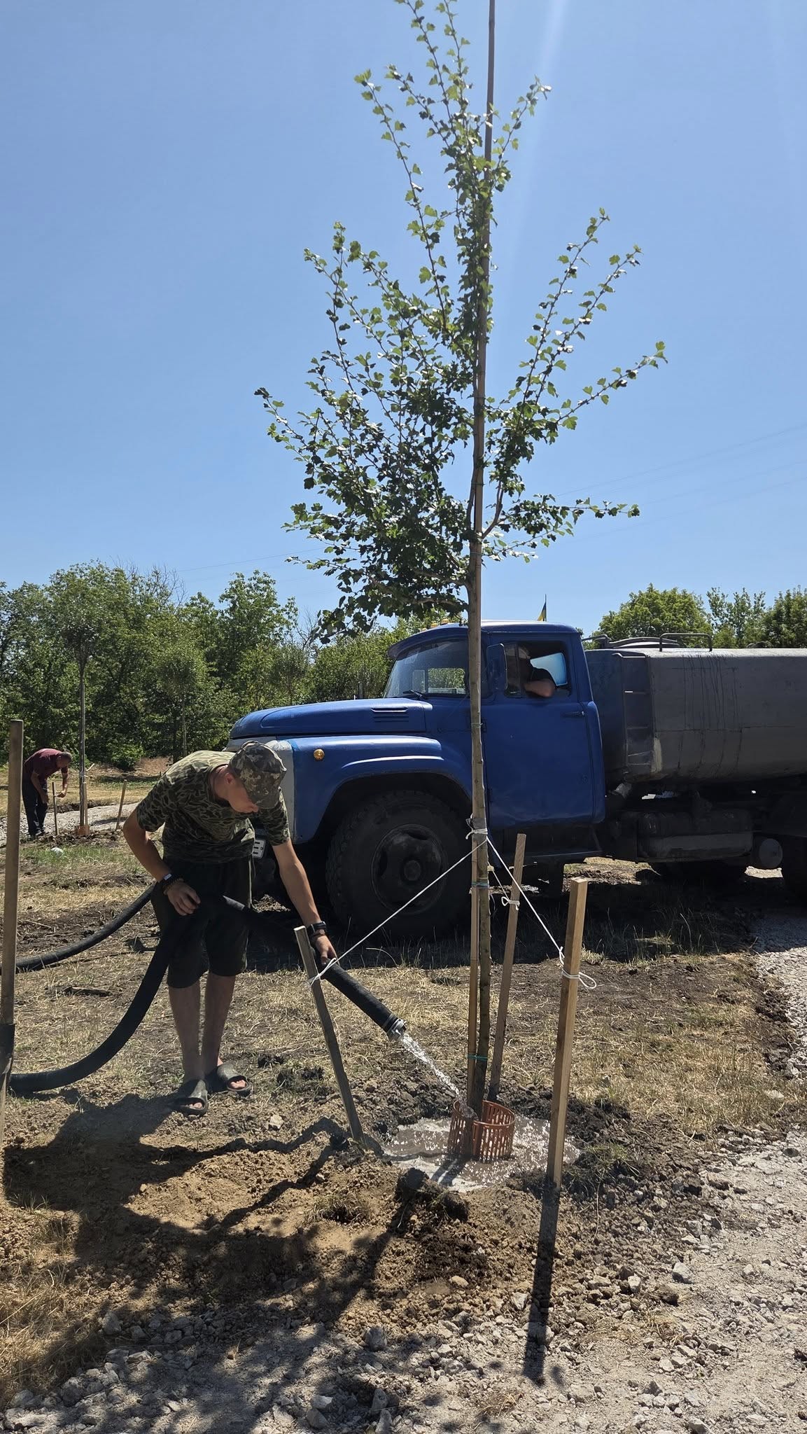 У Кропивницькому розпочали озеленення нового скверу по вулиці Соборній