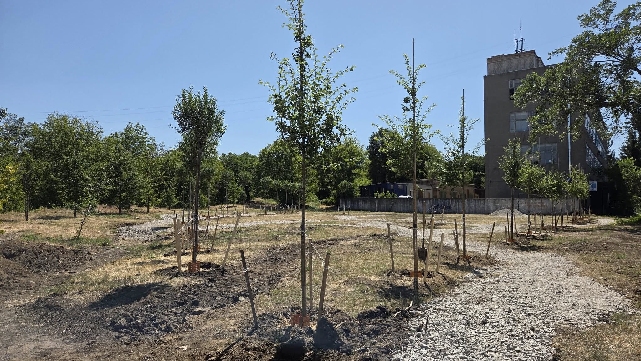 У Кропивницькому розпочали озеленення нового скверу по вулиці Соборній