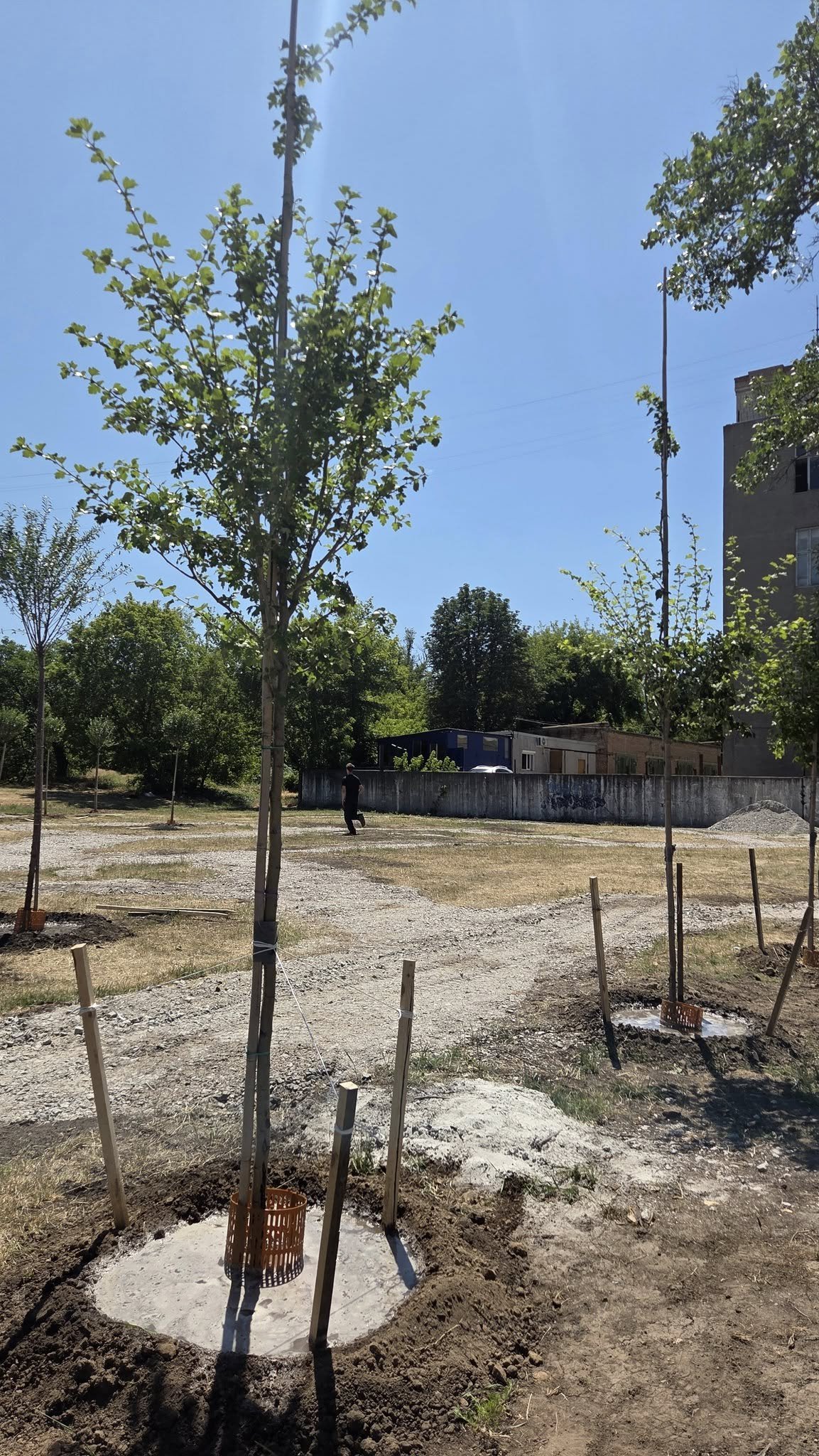 У Кропивницькому розпочали озеленення нового скверу по вулиці Соборній