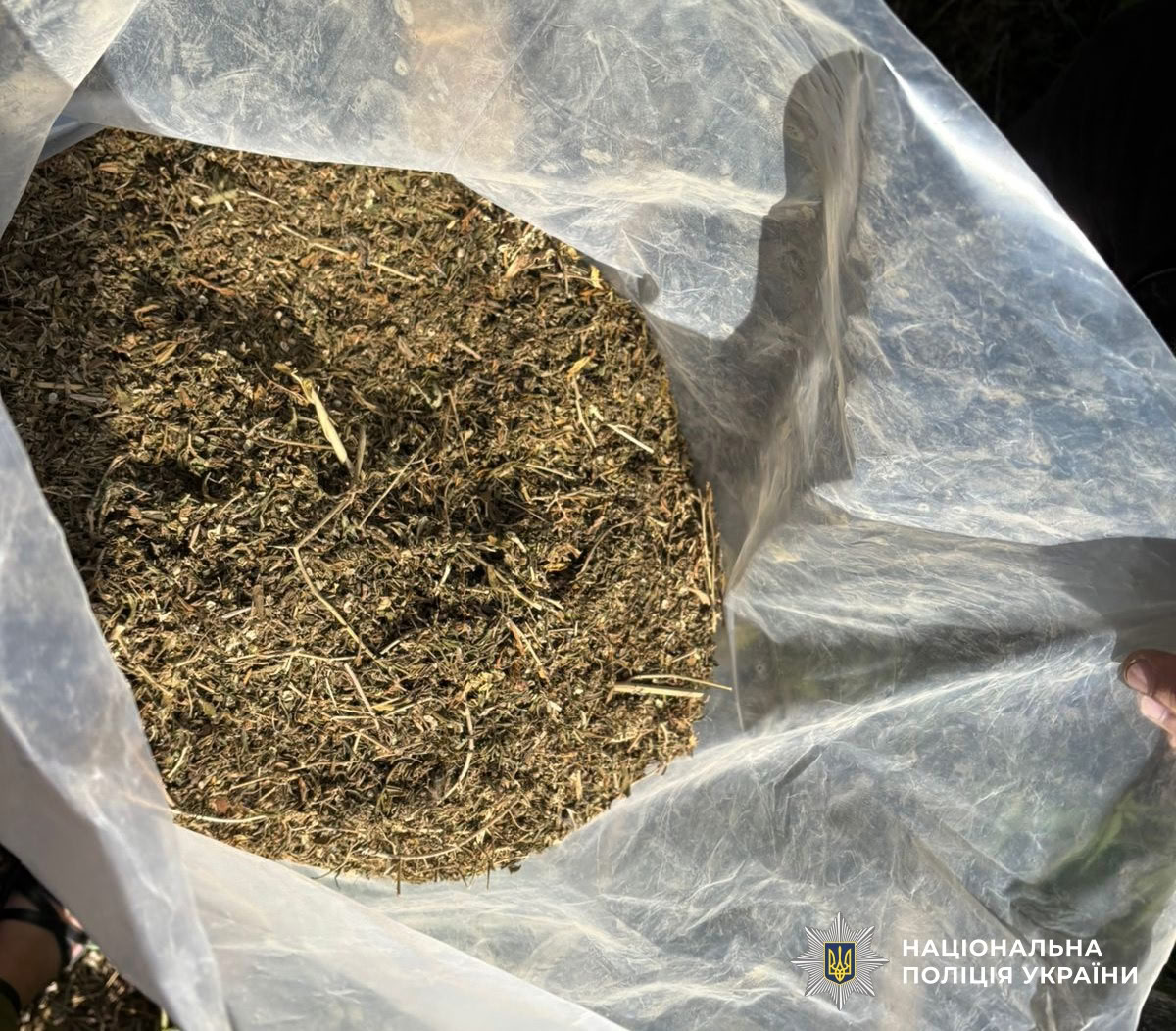 Минулого тижня у наркозбувачів на Кіровоградщині вилучили речовин на понад 2 мільйони гривень