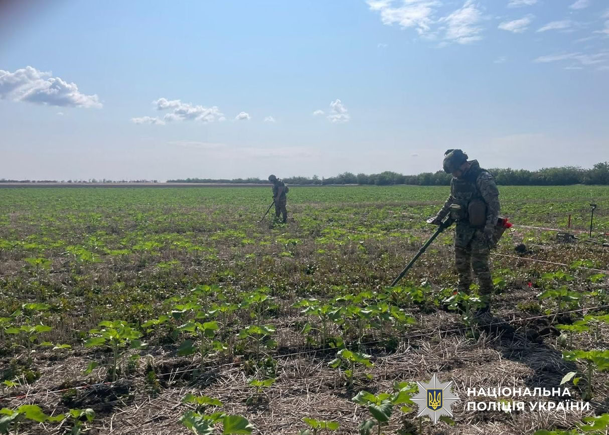 Понад 40 гектарів на Херсонщині обстежили вибухотехніки поліції Кіровоградщини у складі зведеного загону