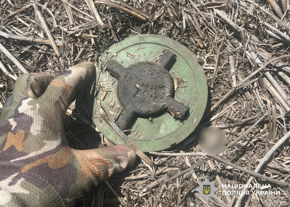 Понад 40 гектарів на Херсонщині обстежили вибухотехніки поліції Кіровоградщини у складі зведеного загону