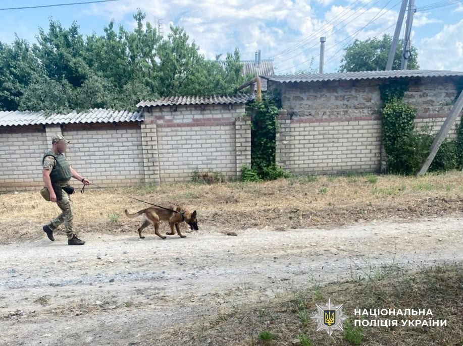 Понад 40 гектарів на Херсонщині обстежили вибухотехніки поліції Кіровоградщини у складі зведеного загону