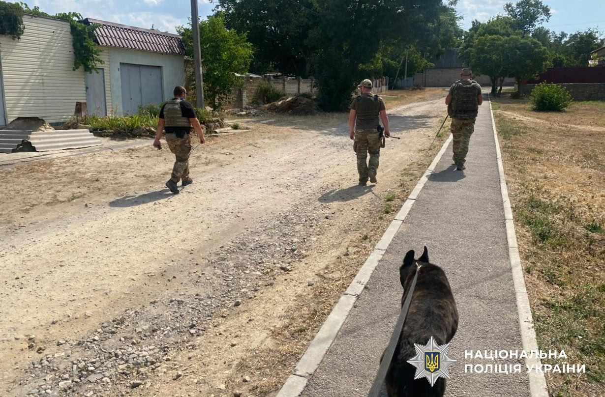 Понад 40 гектарів на Херсонщині обстежили вибухотехніки поліції Кіровоградщини у складі зведеного загону