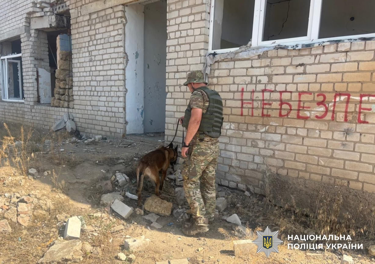 Понад 40 гектарів на Херсонщині обстежили вибухотехніки поліції Кіровоградщини у складі зведеного загону