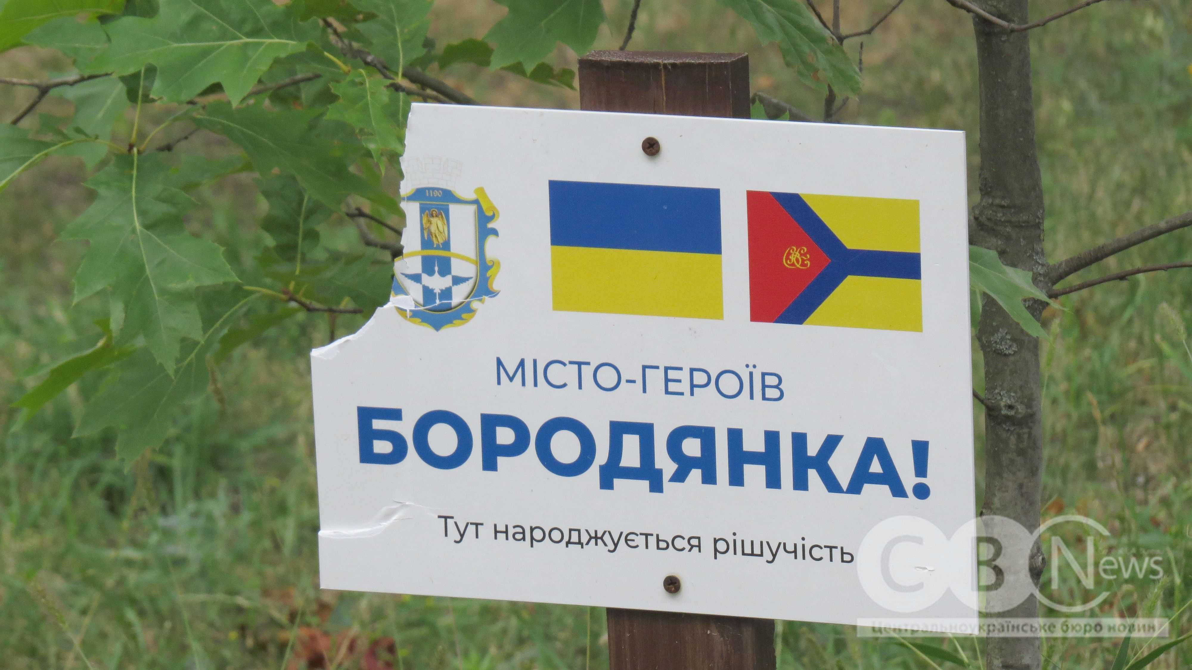 У Кропивницькому на алеї в парку Перемоги посохли дуби