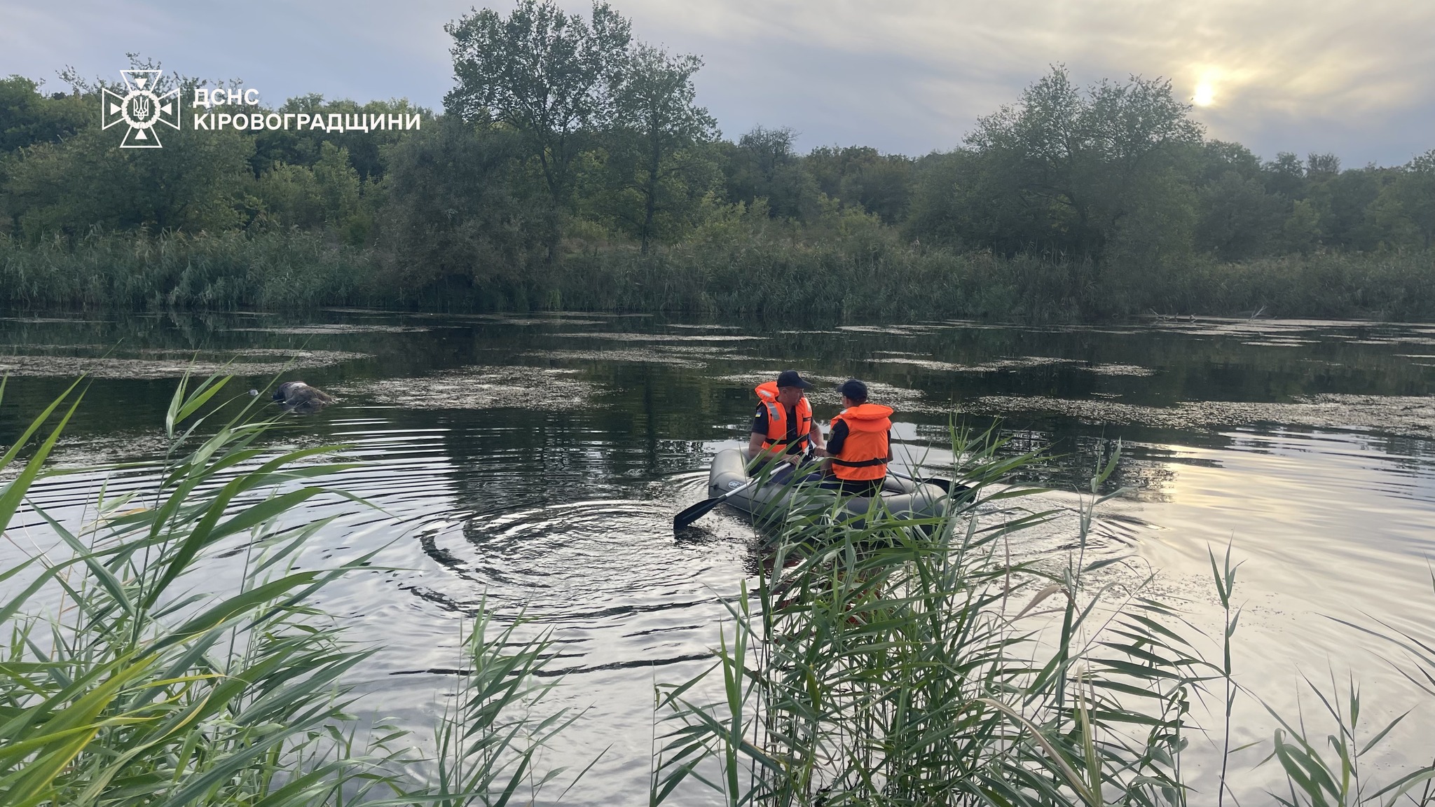Потопельника витягнули з водойми на Кіровоградщині
