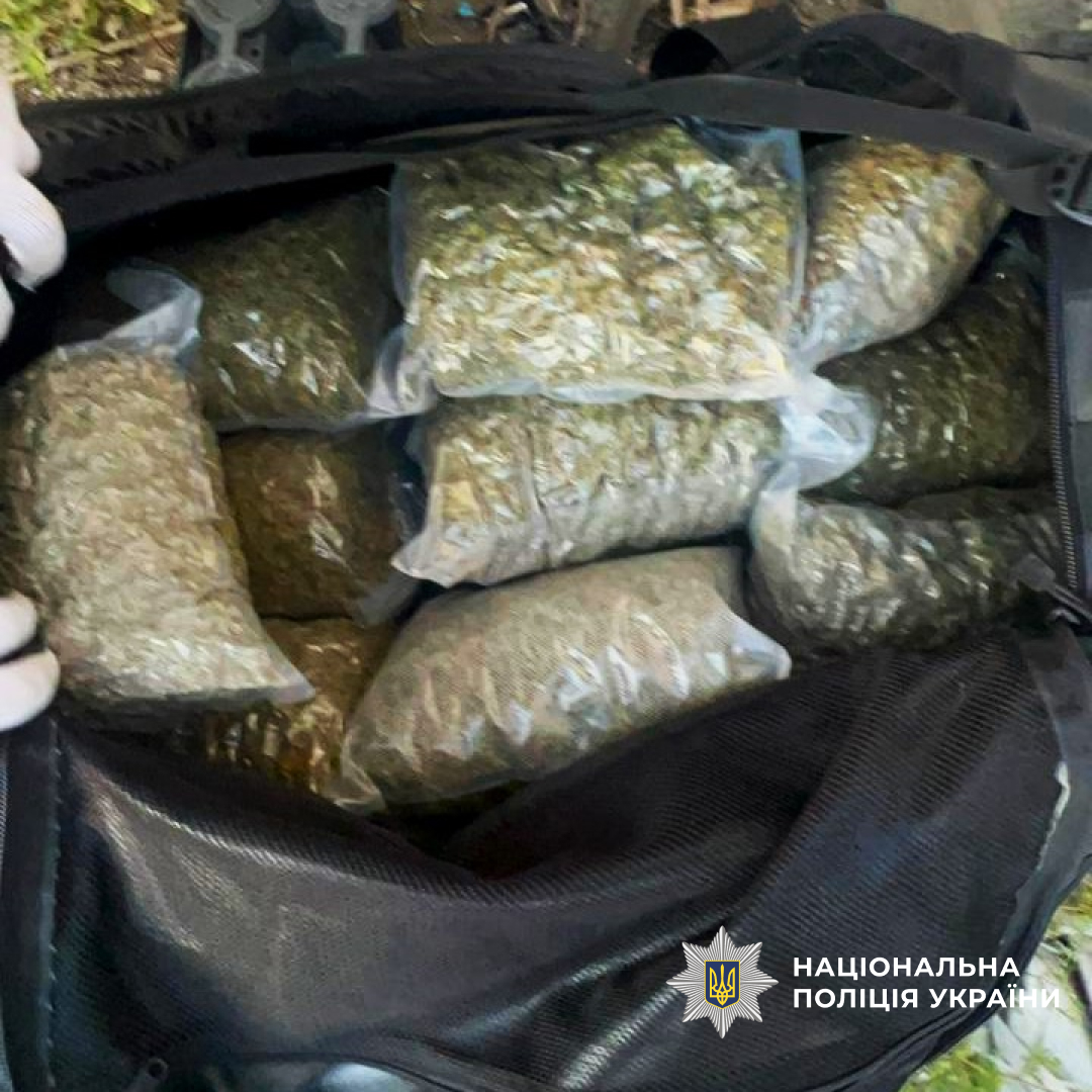 Плантацію конопель знайшли правоохоронці на Кіровоградщині
