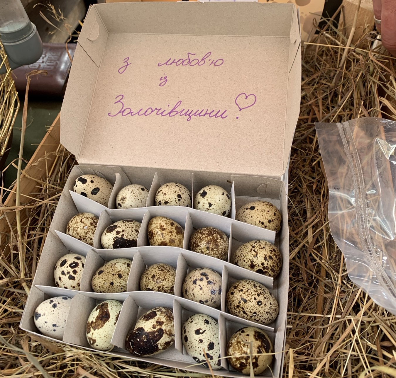 Від бойового медика ССО до ферми з перепілками: нове життя Ігоря Мамчика