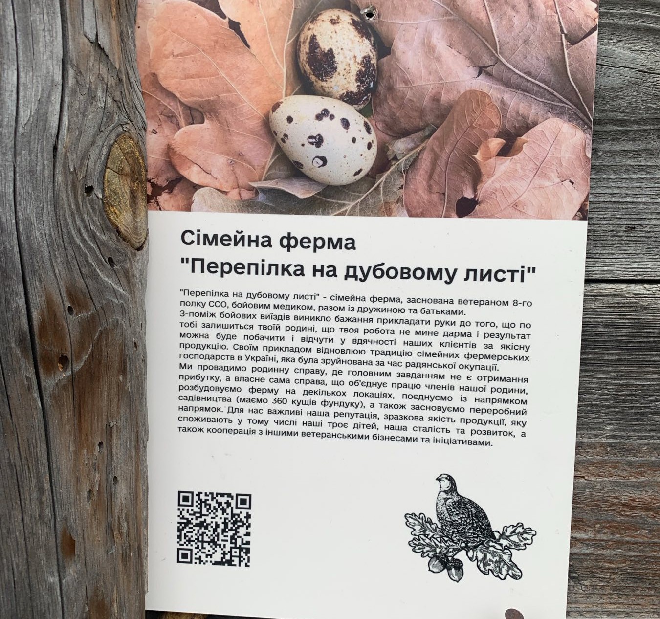 Від бойового медика ССО до ферми з перепілками: нове життя Ігоря Мамчика