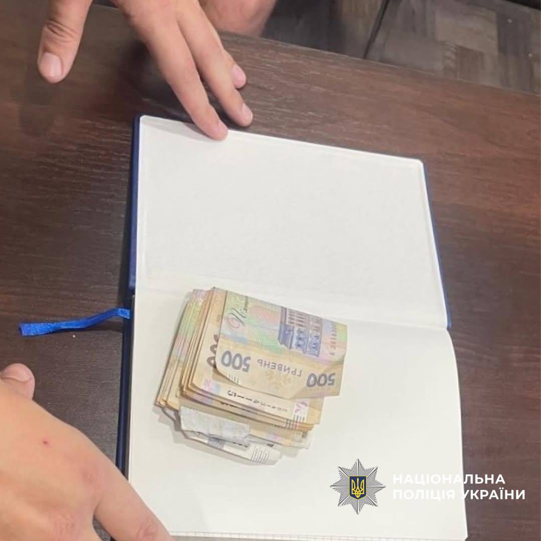 Водій намагався підкупити поліцейського на Кіровоградщині 