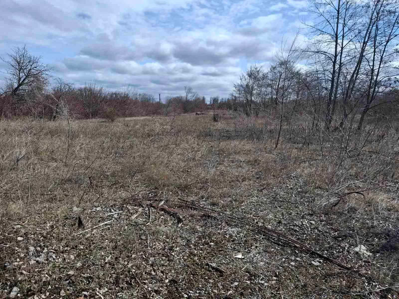 На аукціон виставили майже 88 гектарів землі під електростанцію в Кропивницькому районі