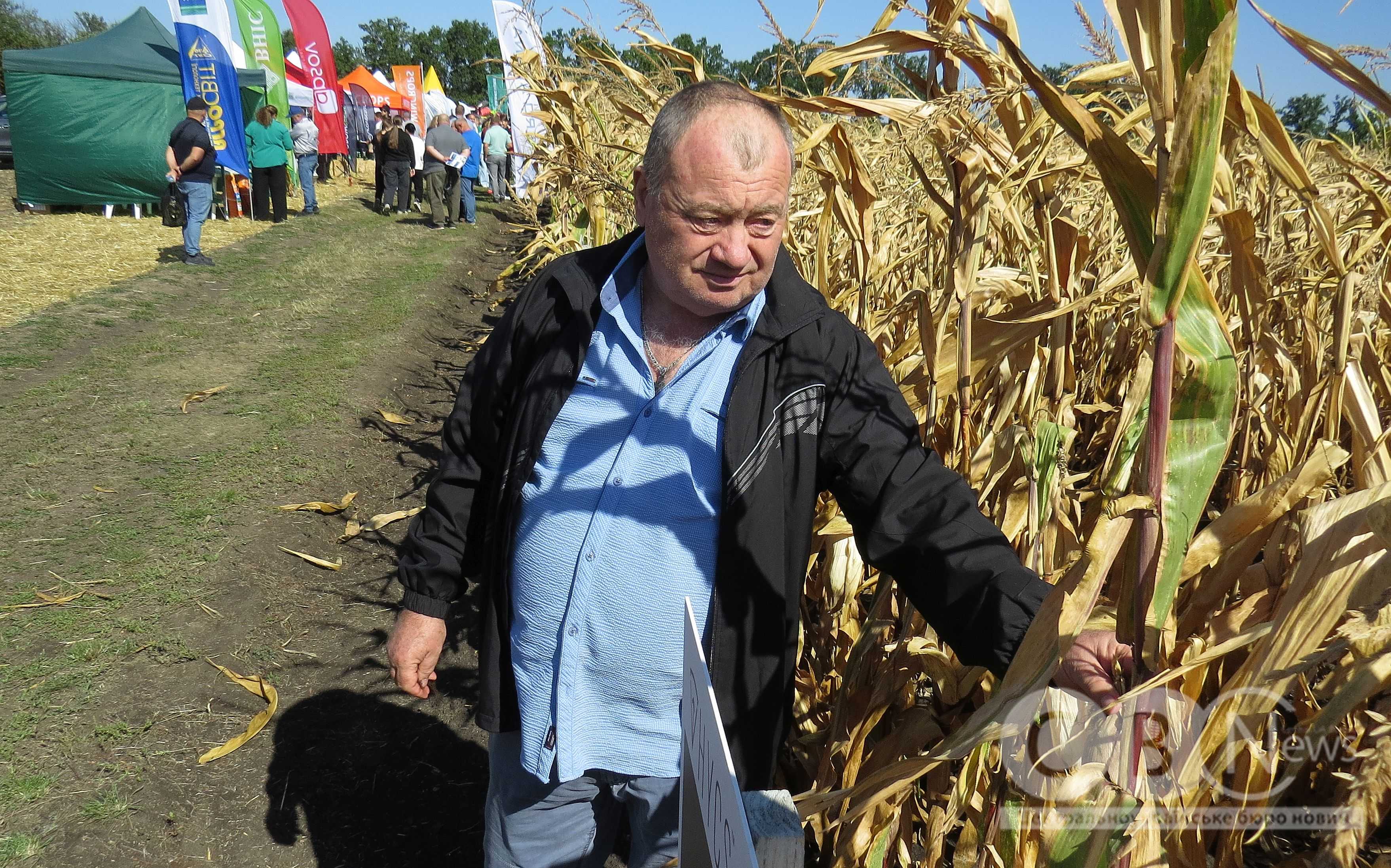 Міжнародний День поля відбувся у Созонівці Кропивницького району.