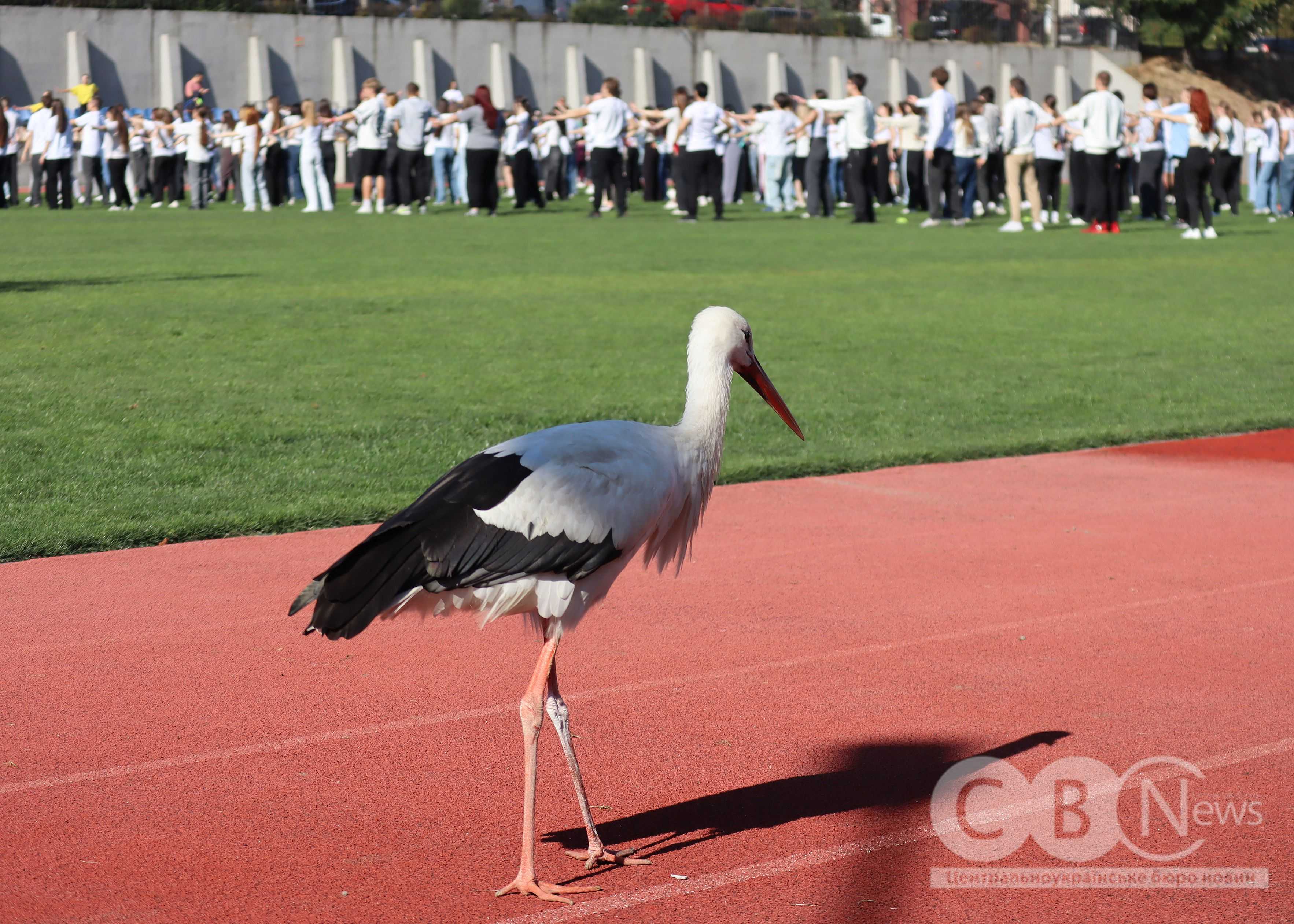 24 вересня на стадіоні факультету спорту та фізичної культури ЦДУ у Кропивницькому відбулася щорічна руханка, до якої долучилися щонайменше 300 учасників.