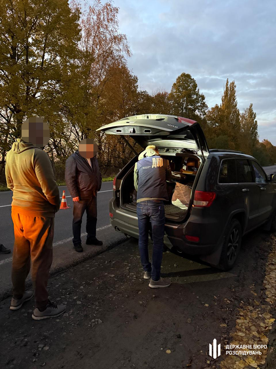 Незаконну вирубку дубів викрили в шести областях України, зокрема й на Кіровоградщині