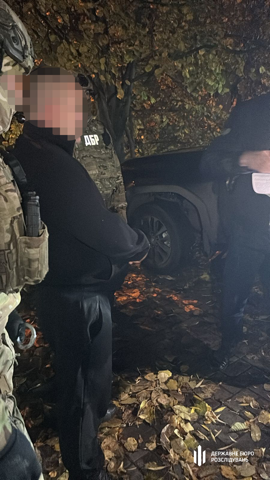 Незаконну вирубку дубів викрили в шести областях України, зокрема й на Кіровоградщині