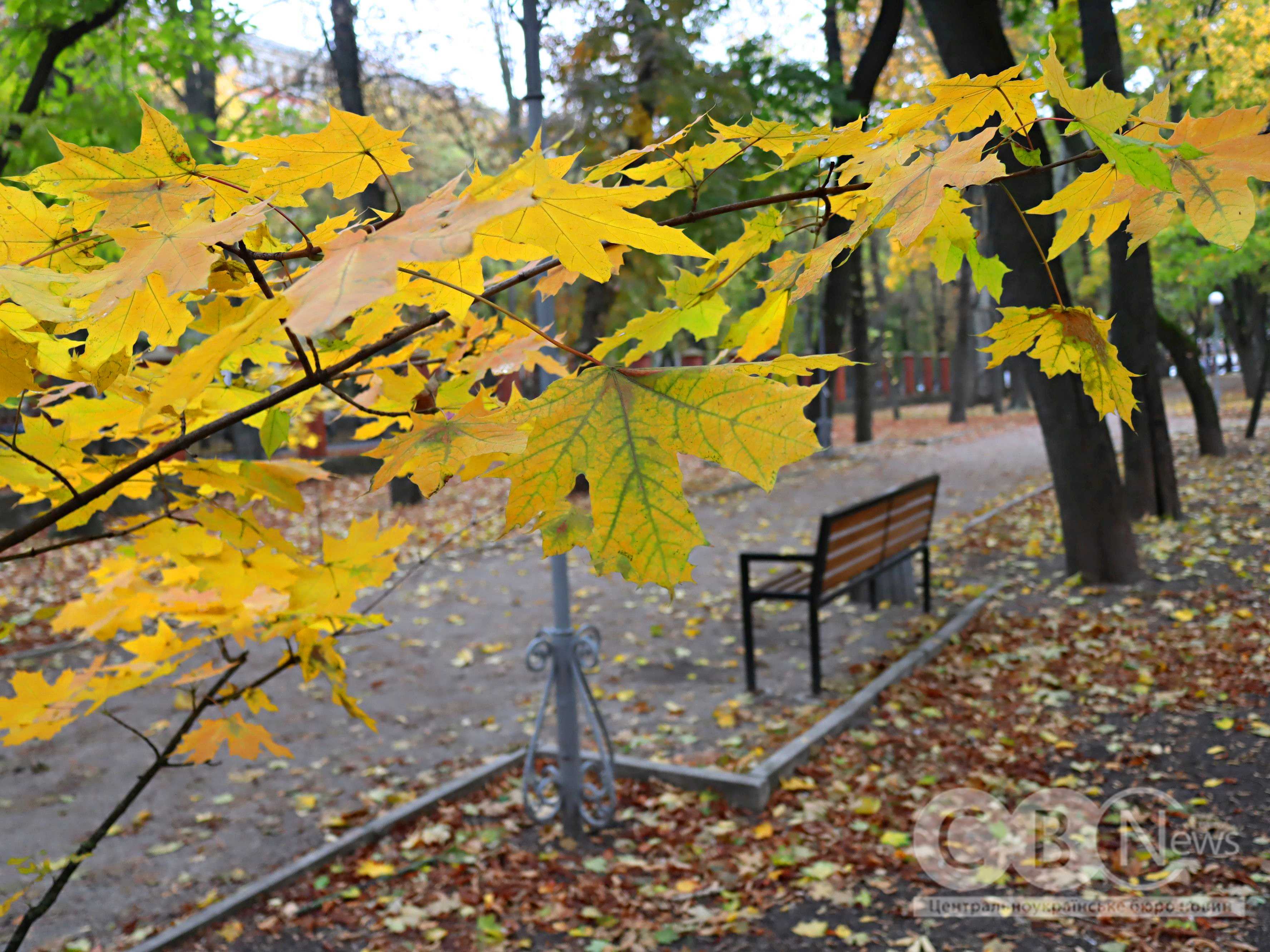 Осінь 2025 у Кропивницькому