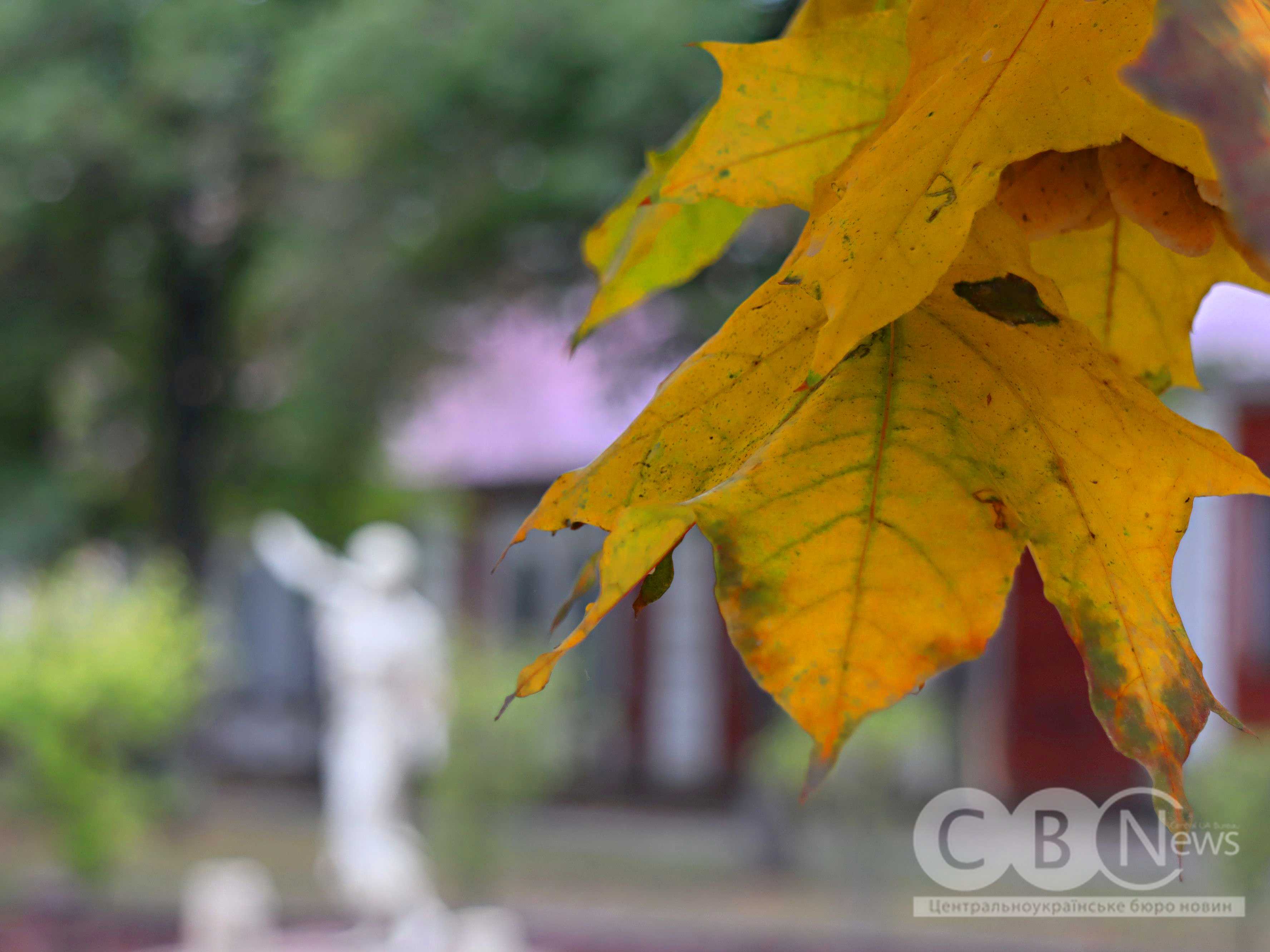 Осінь 2025 у Кропивницькому