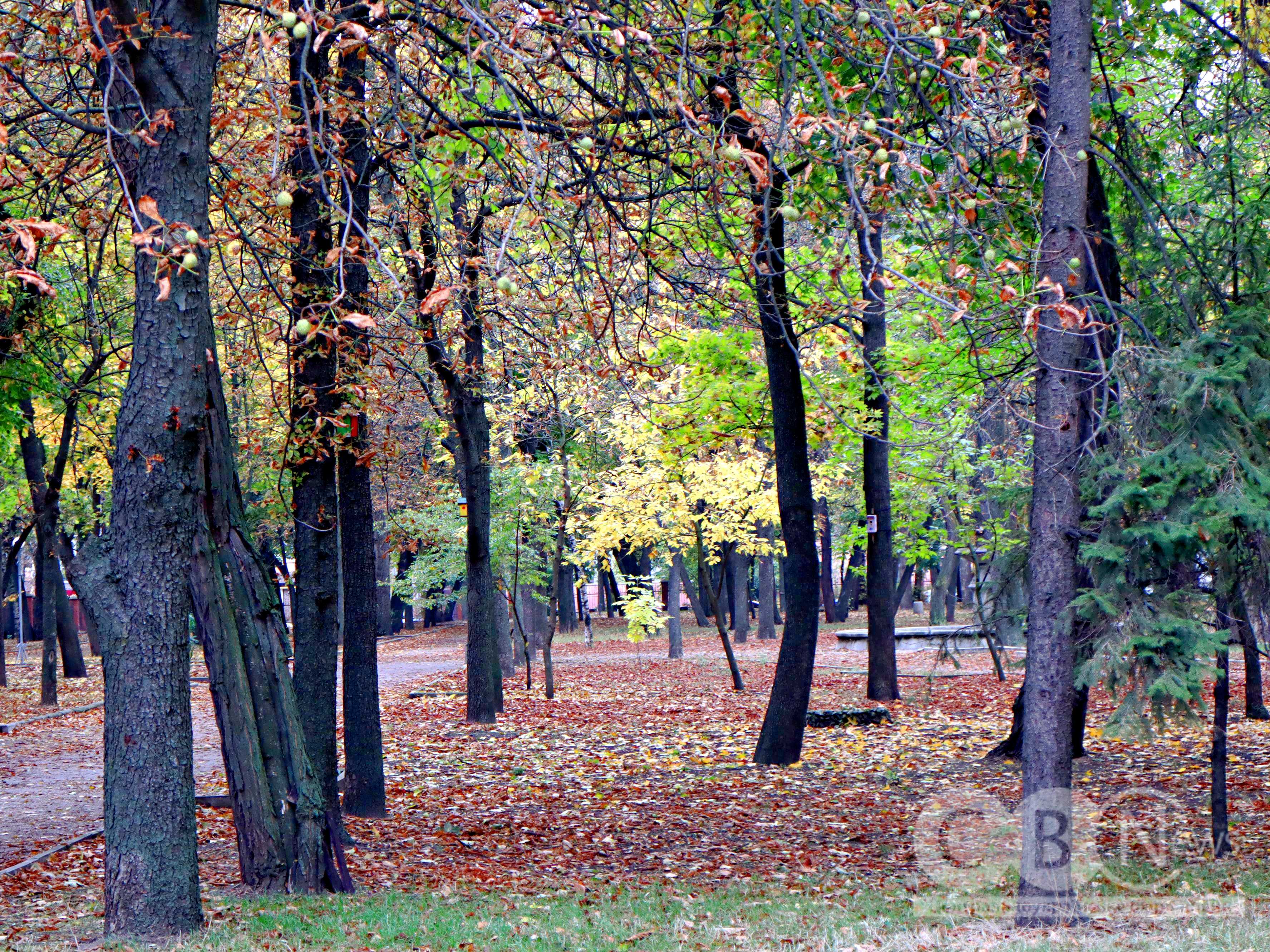 Осінь 2025 у Кропивницькому