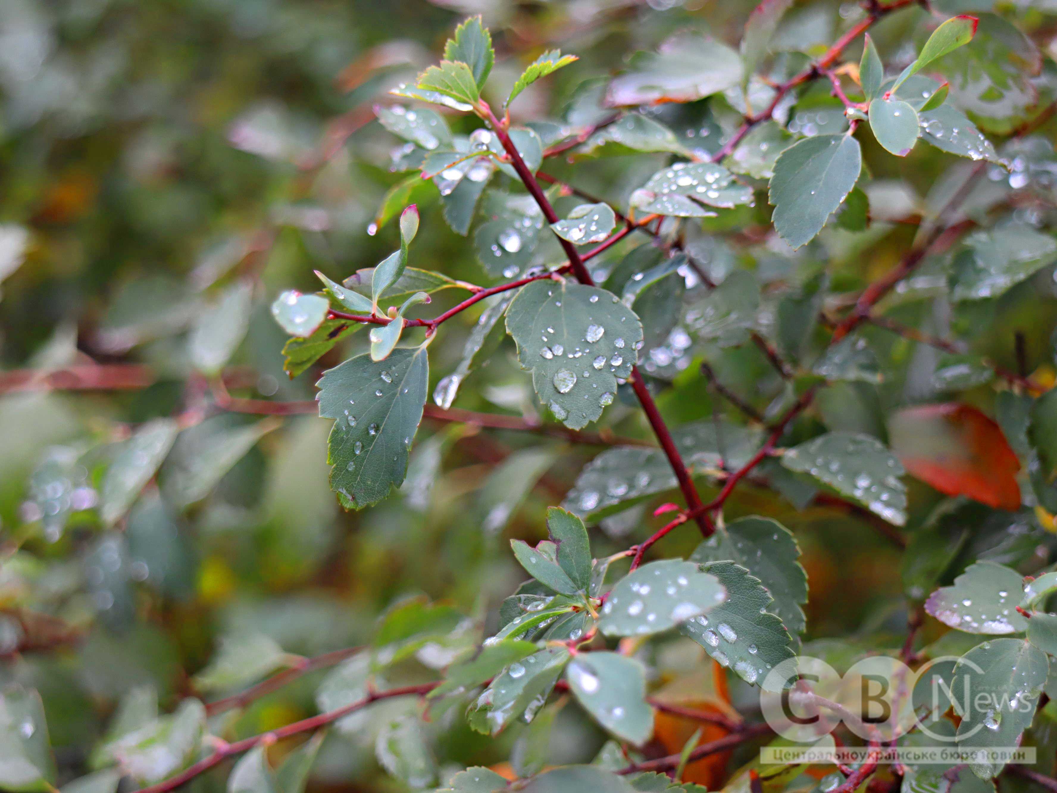 Осінь 2025 у Кропивницькому