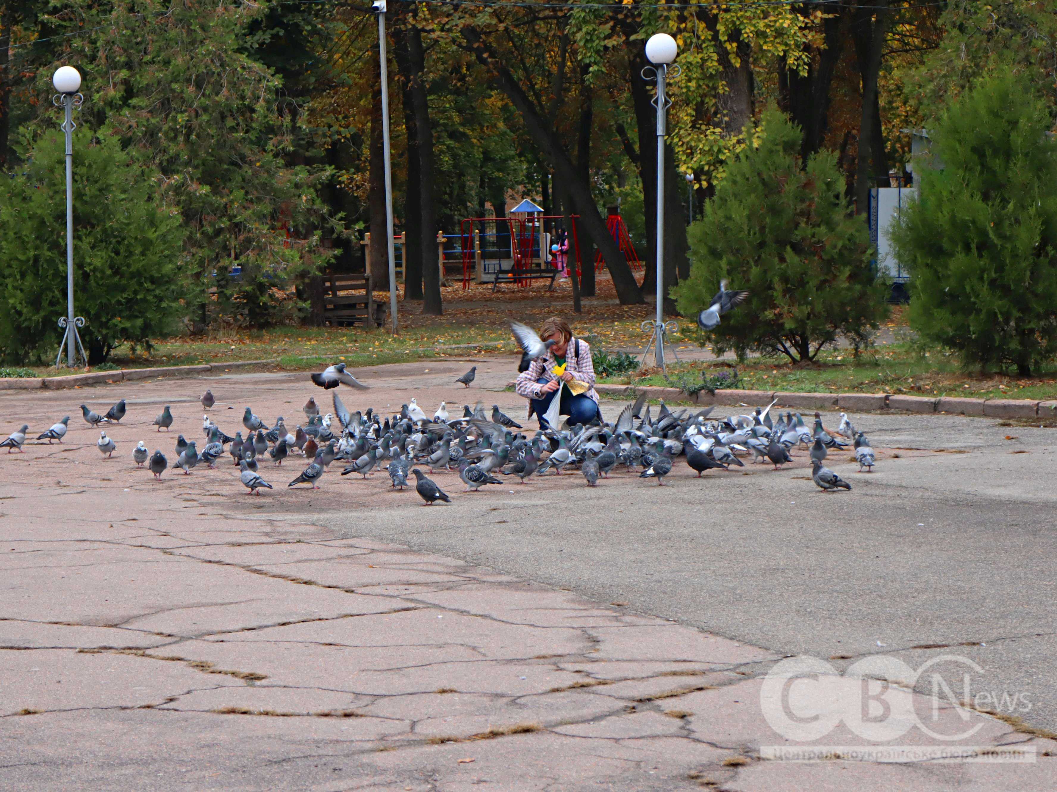 Осінь 2025 у Кропивницькому