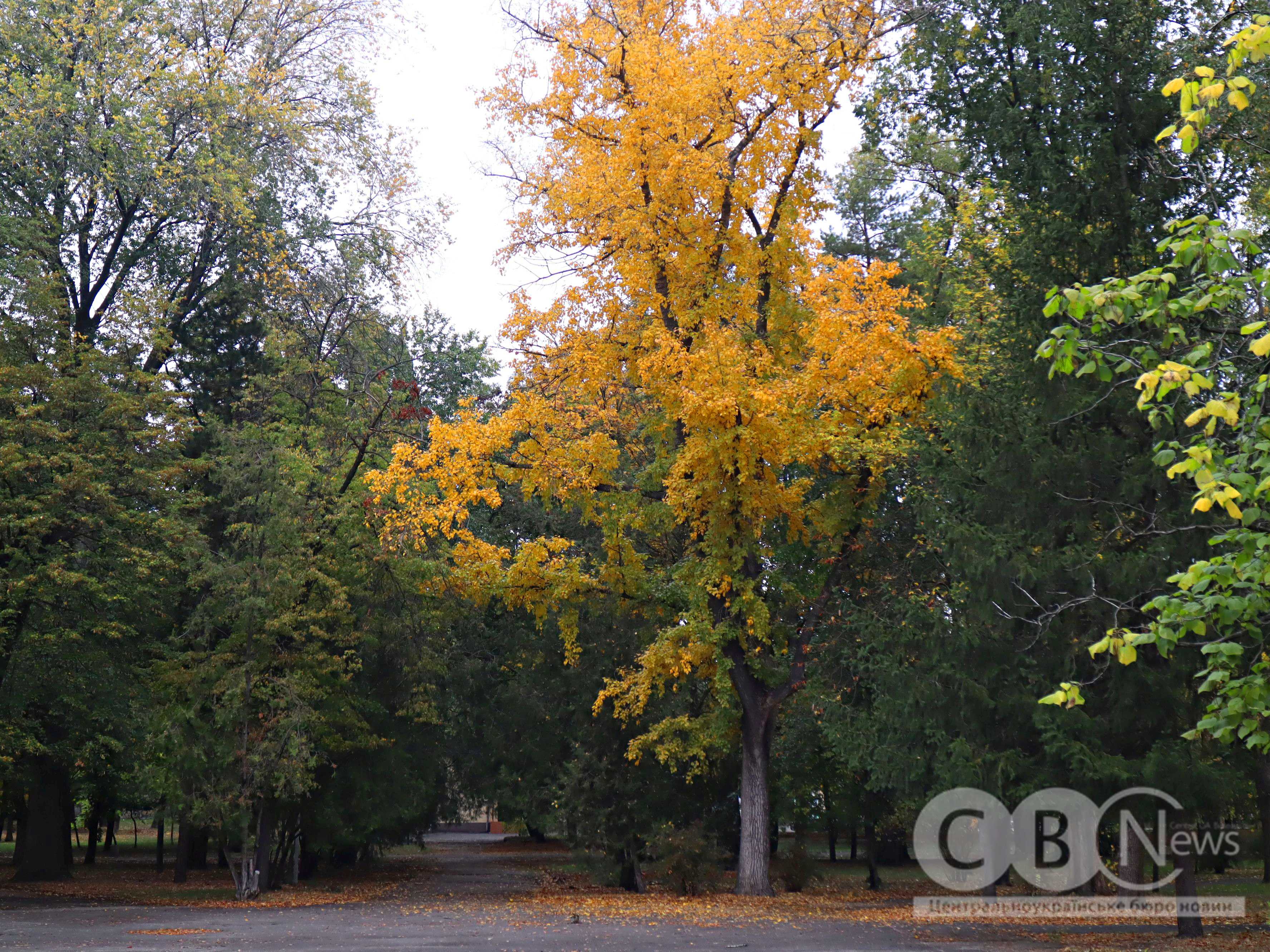 Осінь 2025 у Кропивницькому