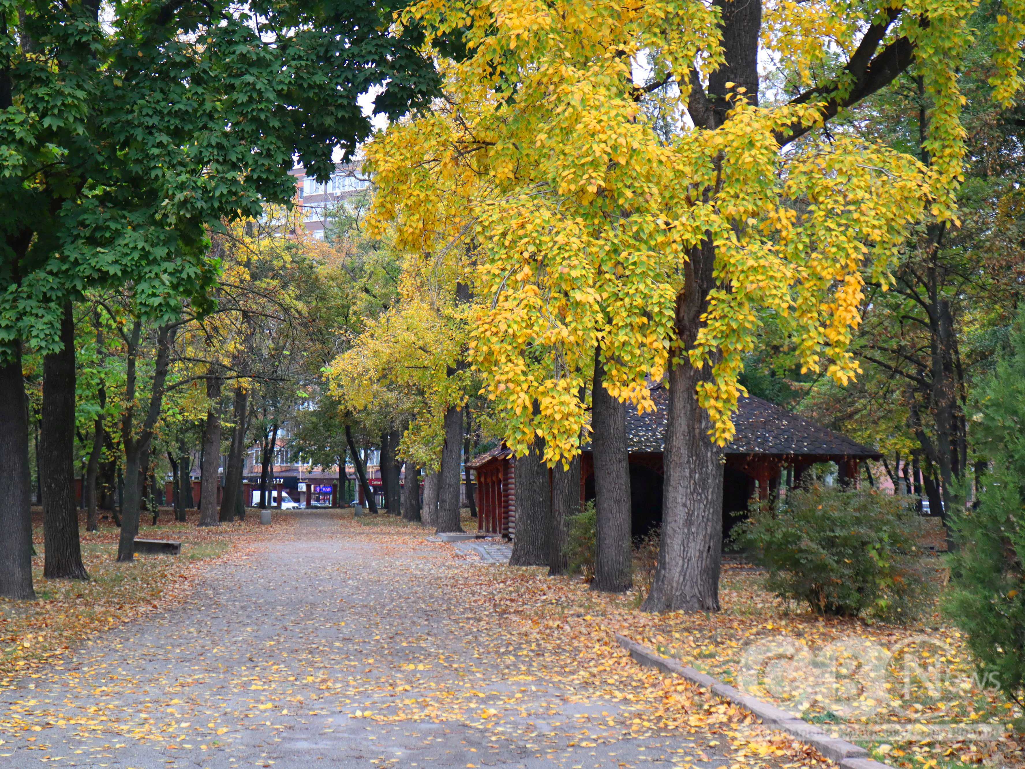 Осінь 2025 у Кропивницькому