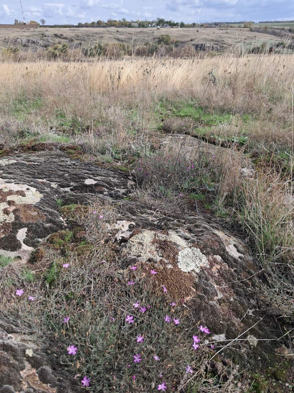 Поблизу Бобринця виявили найбільший кам'яний степ Кіровоградщини