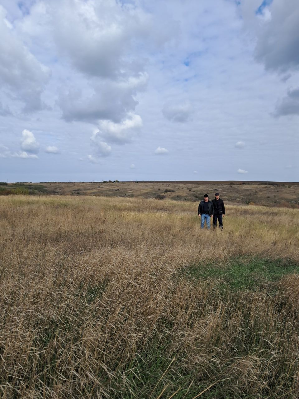 Поблизу Бобринця виявили найбільший кам'яний степ Кіровоградщини