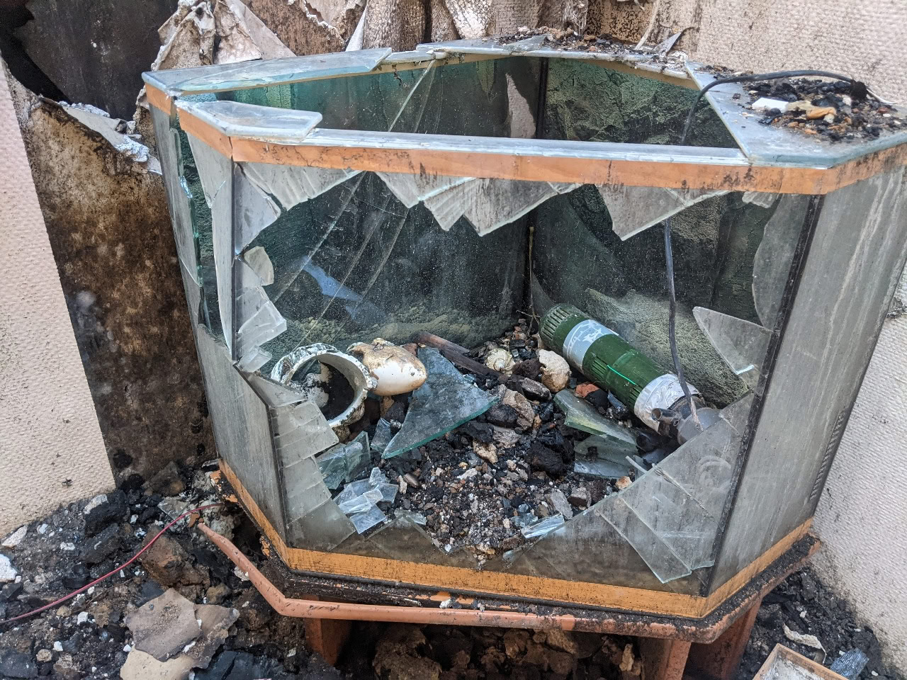 Пошкодження об'єктів культурної спадщини внаслідок обстрілів рф фіксують у Кропивницькому